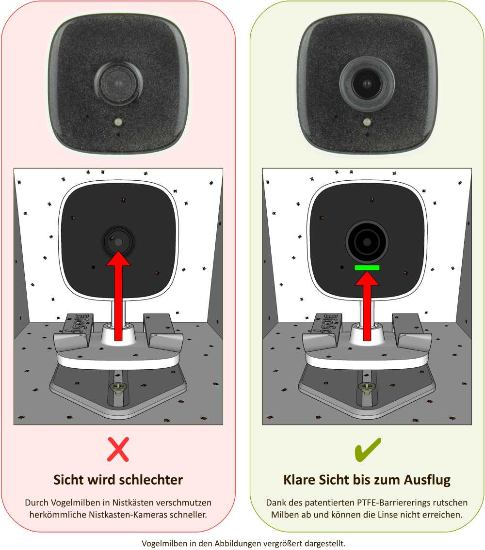 Vergleich des Verschmutzungsgrads durch Vogelmilben von Nistkasten-Kameras mit und ohne PTFE-Objektivschutz