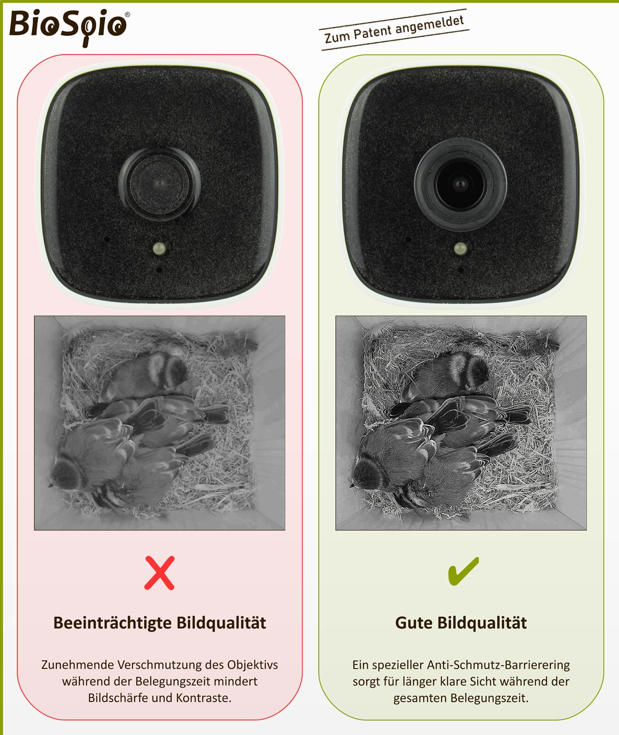 Nistkasten-Kamera Vergleich ohne und mit Anti-Schmutz-Barrierering