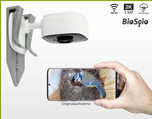 2K WLAN-Nistkasten-Kamera-Set "TIKA" - TP-Link Tapo C110 mit Anti-Schmutz-Ring - Fokus an Nahbereich angepasst - Sofort startklar - 2304 x 1296 Pixel (≙ 2K, 3 MP) 